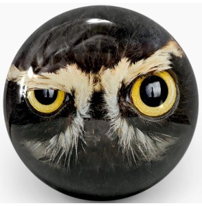 OTB CRAZY OWL BALL